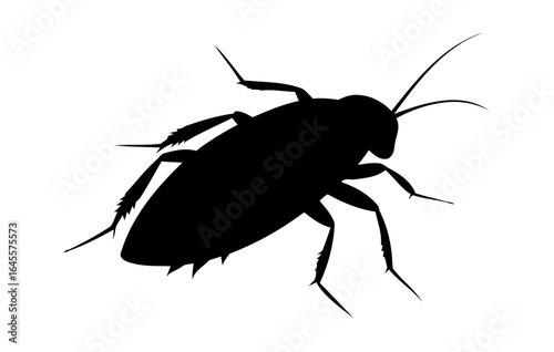 Silhouette of a cockroach.
