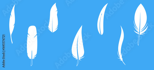 White feathers scattered on a blue background.