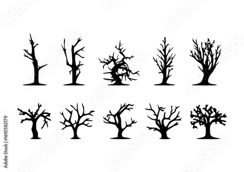 Silhouette of various bare, dead trees.
