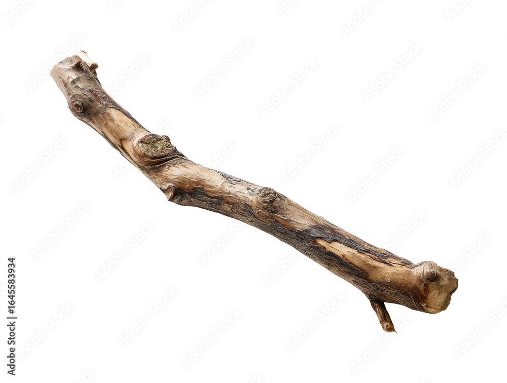 Natural stick found in a forest clearing nature, isolated on transparent background, png Natural stick found in a forest clearing nature, isolated on transparent background, png