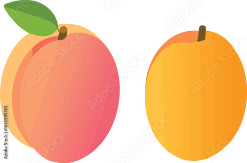 Mango Fruits