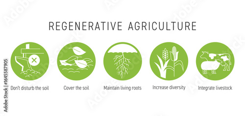 Regenerative Agriculture 5 Principles - Pictograms set for Infographics