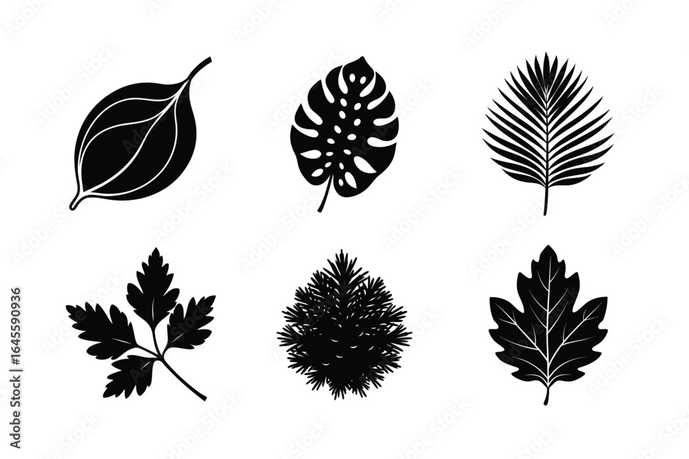 Obraz premium bundle of autumn leafs