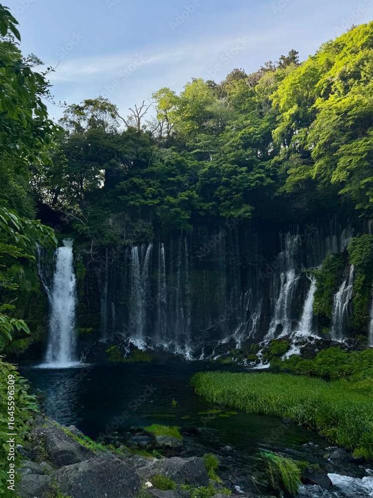 Fototapeta premium shiraito waterfalls