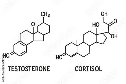 Testosterone and cortisol chemical formula. Skeletal molecular structure of steroid hormones. Vector icon for science, biology, medicine, and endocrinology education poster.