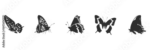 Four stylized butterflies in black silhouette.