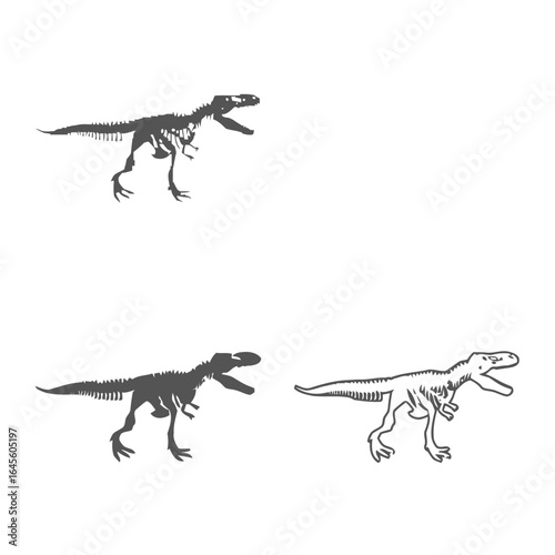 Tyrannosaurus Rex skeletal variations, different poses.
