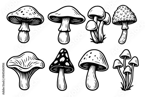 Mushroom vector icon set. Black and white fungi collection. Hand drawn botanical illustration. Cartoon toadstool, amanita, psilocybin. Doodle nature elements. Mycology sketch.