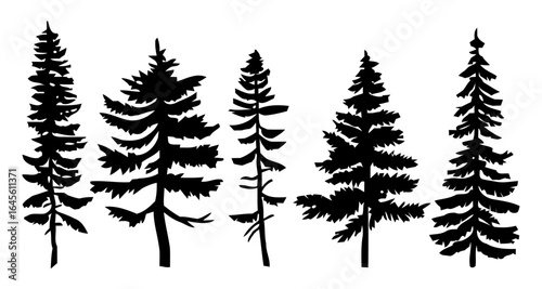 Silhouette of several pine trees.
