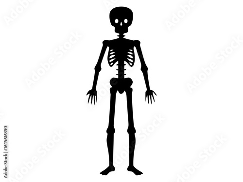 Silhouette of a human skeleton.
