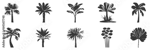 Silhouette collection of various palm trees.