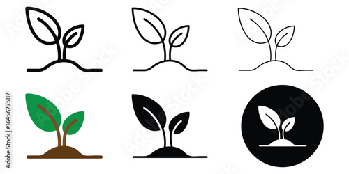 Organic Farming and Plant Growth Symbols. Botanical and Reforestation Symbols.