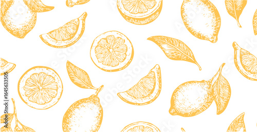 Lemons print, simple sketch style vector background	