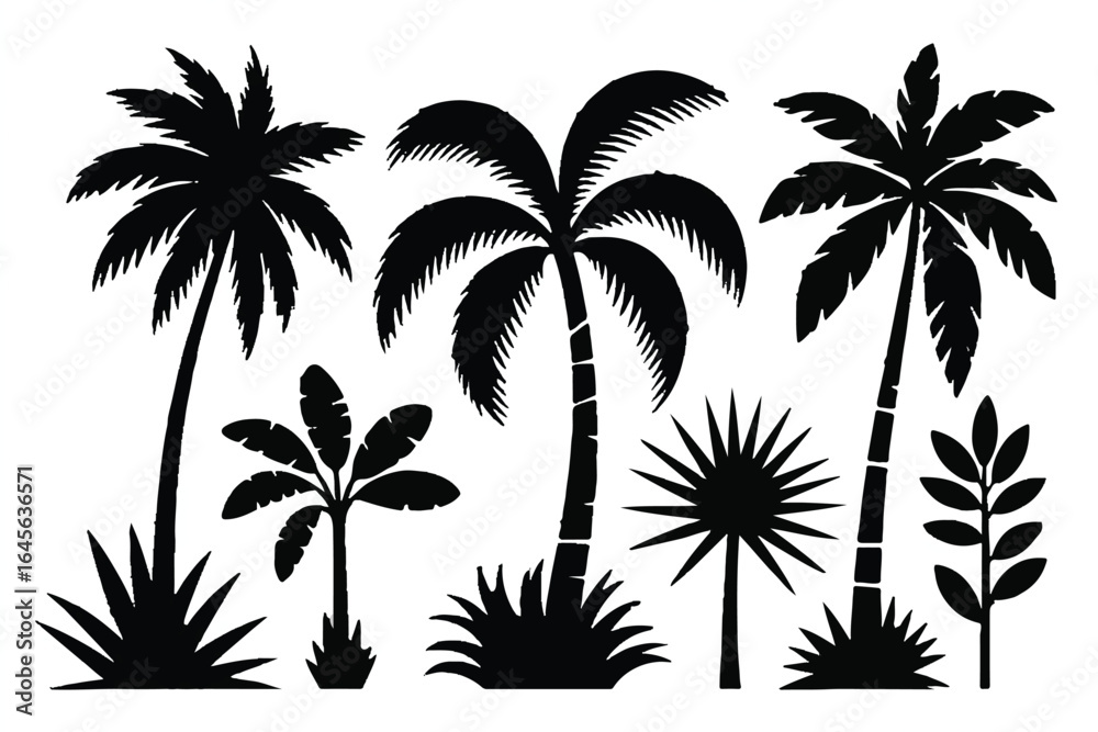 Fototapeta premium Black Silhouette Palm Trees and Tropical Plants nature