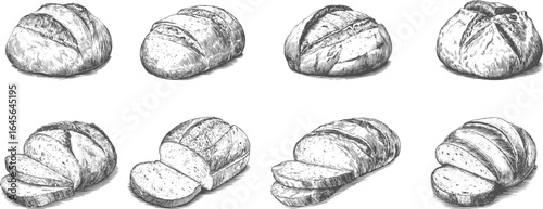 Set illustrations of sourdough bread isolated on transparent background. Vector graphics