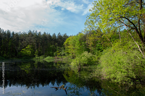 Spring panorama of a forest lake against a background of blue sky and distant mountains
