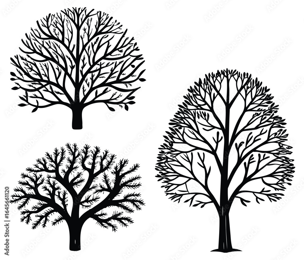 Obraz premium Set of three decorative black tree silhouettes with detailed bare branches and leaves on white background