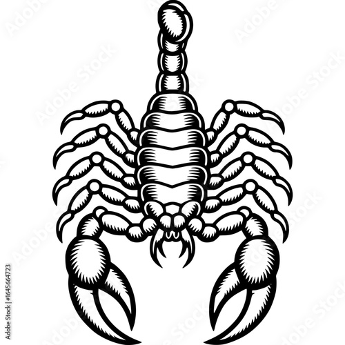 Striking Scorpion Silhouette: A bold, graphic illustration captures a scorpion with its formidable claws and stinging tail, perfect for a touch of the enigmatic and symbolic.
