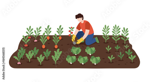 Gardener tending vegetable garden planting fresh produce, a vibrant illustration of healthy living