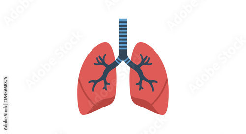 Anatomical illustration of human lungs showcasing respiratory system for medical and educational use