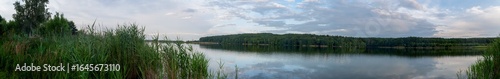 Panoramic view of a lake with lush coastal vegetation on a sunny summer day.