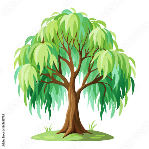 Elegant willow tree with soft green leaves illustration