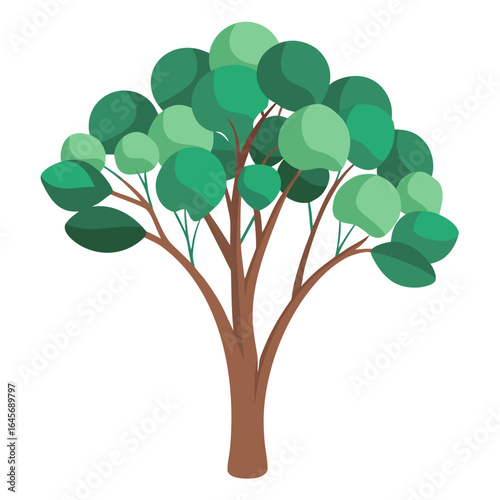 Muted green eucalyptus tree illustration