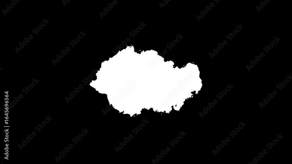 Transitions of black expanding paint stains on white backdrop Grunge Ink spreads and fills the screen. flows and streams. Ink bloom. ink brush stroke, fluid art black and white.