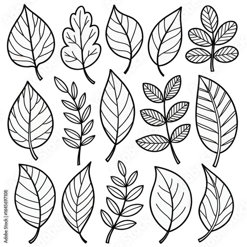 Set of various black and white outlined leaves and foliage elements in detailed vector illustration