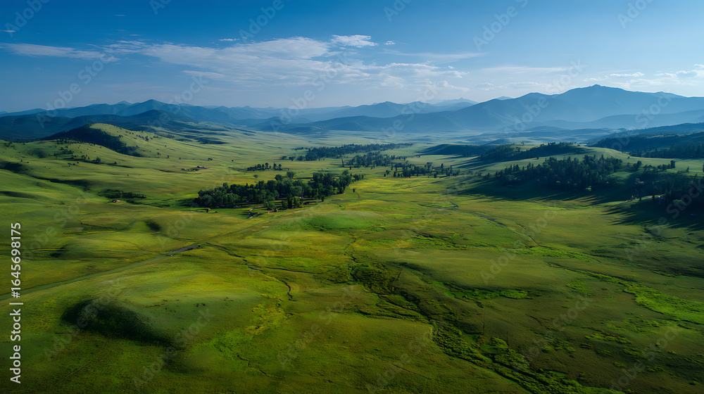 Fototapeta premium An aerial view of a vast green meadow stretching towards the distant mountain horizon (1)