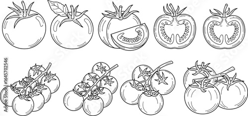 Hand-drawn tomato illustrations, whole and sliced, tomato on vine, vector art, culinary design, botanical sketch, organic vegetable, food graphic