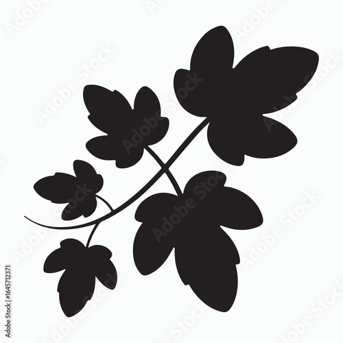 Silhouette of a hop vine branch with leaves.. vine leaves

