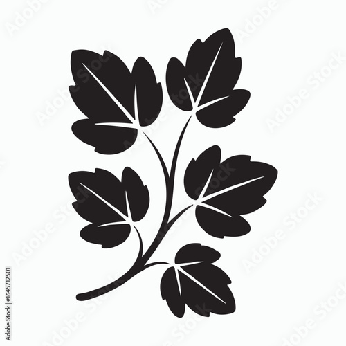 Silhouette of a hop vine branch