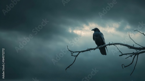 Raven Perched on Branch Halloween Banner with Eerie Mood ,Happy halloween, halloween banner, halloween banner with copy space for text. 
