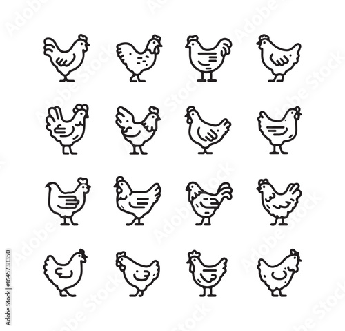 farm chicken icon on white background