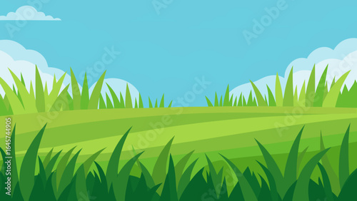 Expansive Open Field with Tall Lush Green Grass