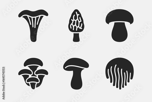 Wild mushroom collection – forest fungi species, nature harvesting symbols, botanical elements, simple line style
