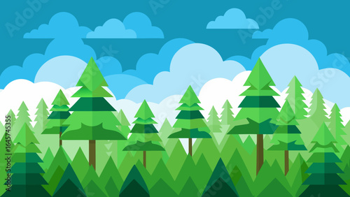 Vast Green Pine Forest with Fluffy White Clouds Above