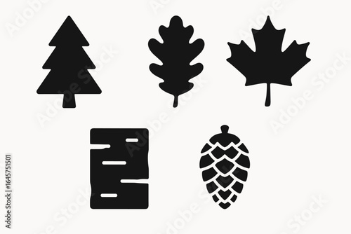 Tree species icons set – forest varieties, botanical classification, nature illustration, simple line style