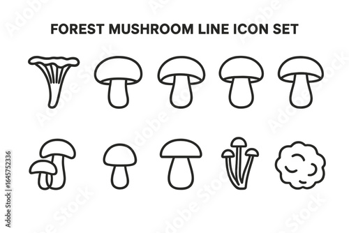 Forest mushrooms icons set – edible fungi, line art collection