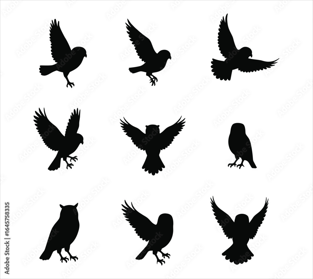 Obraz premium Screech Owl Silhouette Vector Graphic Bundle