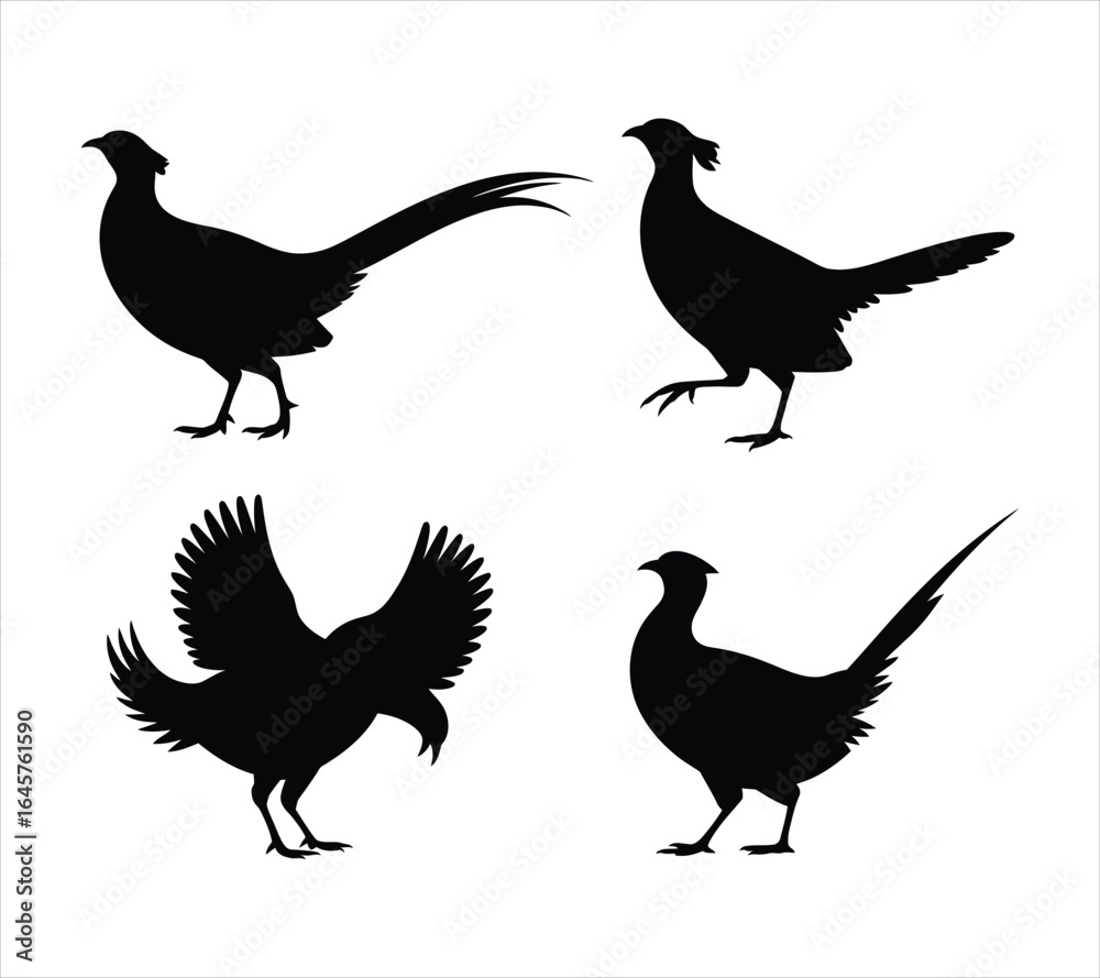 Fototapeta premium Vector Pheasant Silhouette Graphic Set