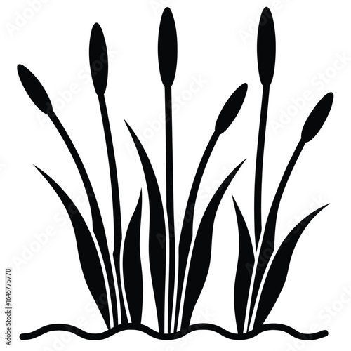 Black silhouette of cattails and reeds growing in water on a white background plants vegetation