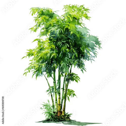 A watercolor painting of Bamboo Tree, vector illustration on white background.