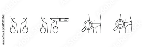 Male reproductive system, vasectomy surgery, testicular examination, genital health, urology diagnosis, scrotum anatomy, sexual wellness, disease prevention, patient care icon vector illustration.