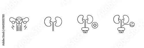 Urology healthcare, kidney anatomy, urinary system, bladder infection, prostate disease, organ treatment, health checkup, prevention awareness, anatomy outline icon vector illustration.