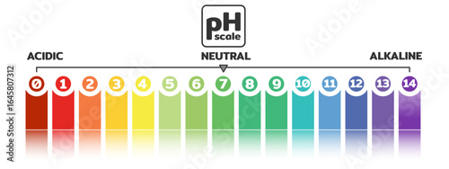 Acid Alkaline pH Scale Diagram, Vector illustration. Ph Scale with indicator number