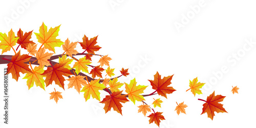Autumn Maple Leaves Branch  Fall Design Illustration
