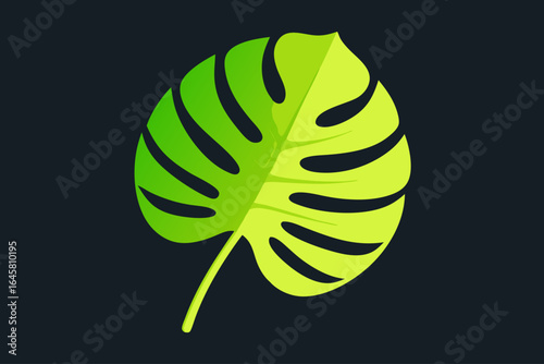 Vibrant green monstera leaf with natural fenestrations and a dark background
