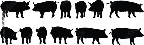 Pig silhouette vector set, farm animal icons, black pig illustrations, livestock symbols collection, pig farming design elements, farm animals vector art